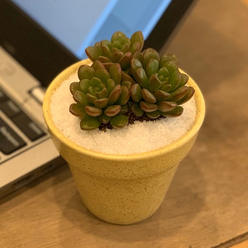 Đặc Sản Đà Lạt 21