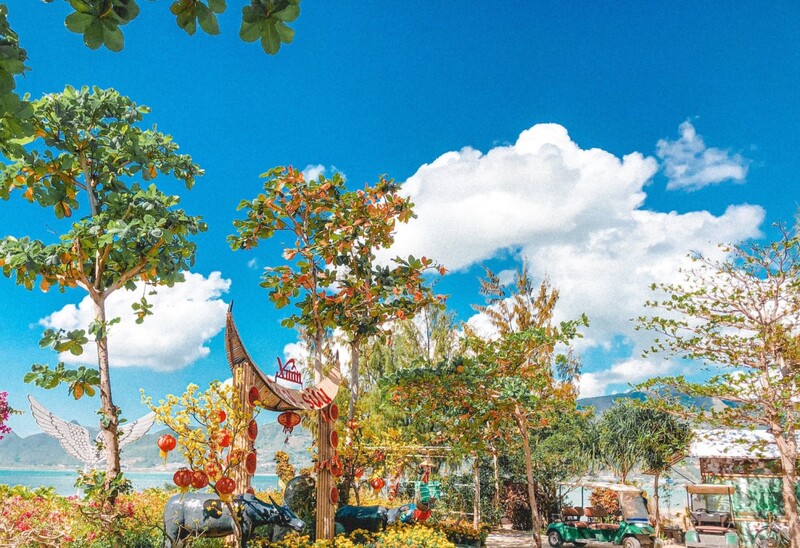 Đảo Khỉ Nha Trang – Thế giới của những loài khỉ