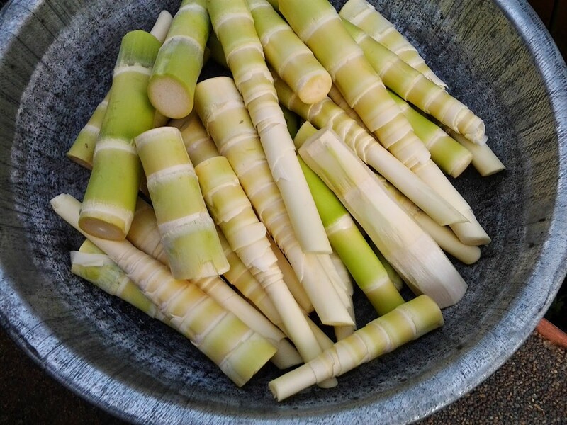 ẩm Thực Sapa 15