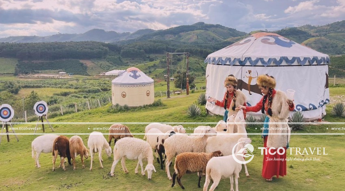Tour du lịch Đà Lạt 1 ngày check-in các địa điểm nổi tiếng