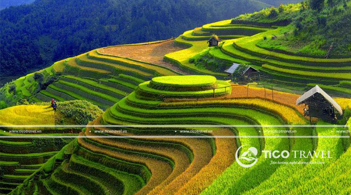 Tour Hà Giang 3 ngày 2 đêm khám phá cao nguyên đá hùng vĩ