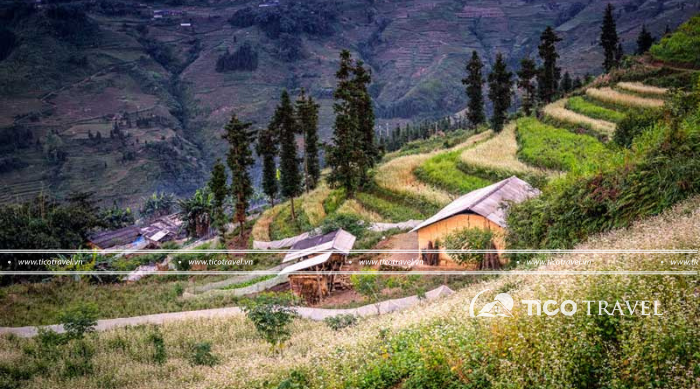 Tour Hà Giang - Cao Bằng 4 ngày 3 đêm giá tốt hấp dẫn