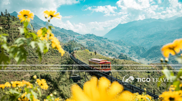 Tour du lịch Sapa 2 ngày 1 đêm khuyến mãi rẻ nhất