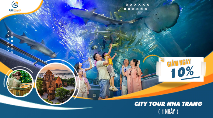 Tour Du LỊch Nha Trang 1 NgÀy TrỌn BỘ
