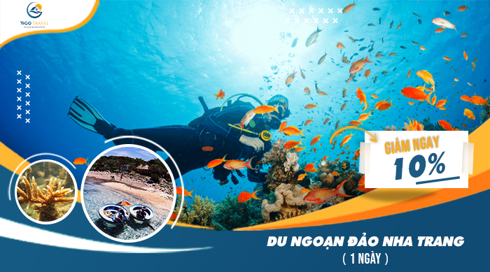 Tour LẶn BiỂn Nha Trang – NgẮm San HÔ GiỮa LÒng ĐẠi DƯƠng