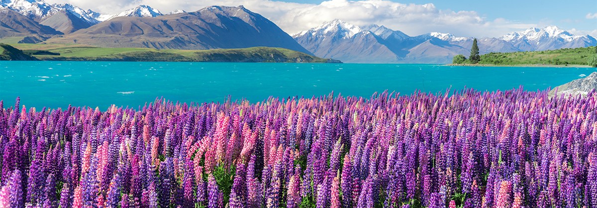 Du Lich Newzealand