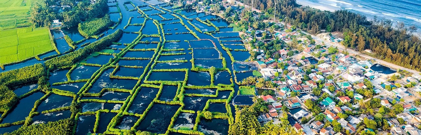 Du Lich Quang Ngai