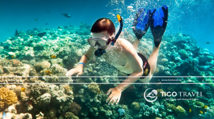 Tour 3 đảo Vip Nha Trang 1 ngày trọn gói