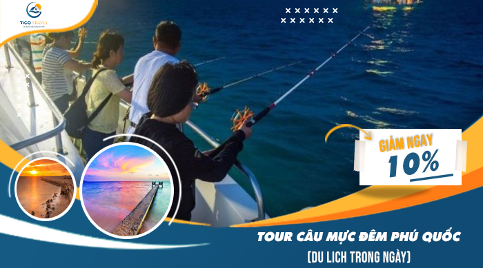 Tour Câu Mực đêm Phú Quốc