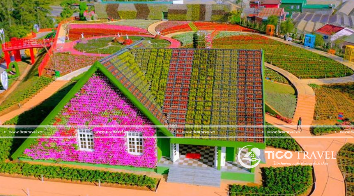 Tour du lịch Đà Lạt 3 ngày 2 đêm ưu đãi hấp dẫn