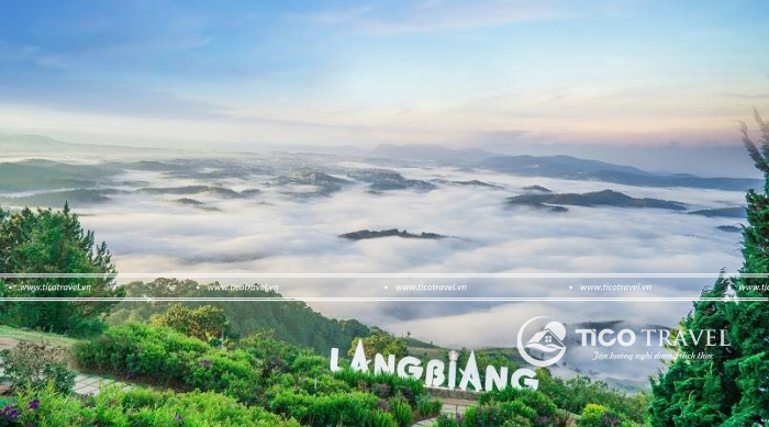 Tour du lịch Đà Lạt 4 ngày 3 đêm lịch trình hấp dẫn trọn gói