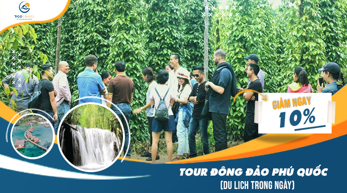 Tour đông đảo Phú Quốc