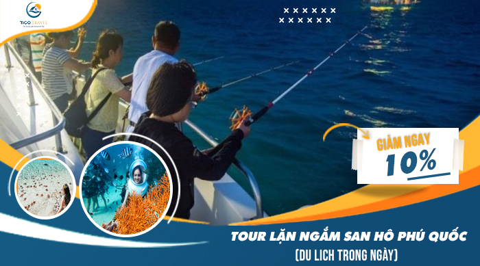 Tour Lặn Ngắm San Hô