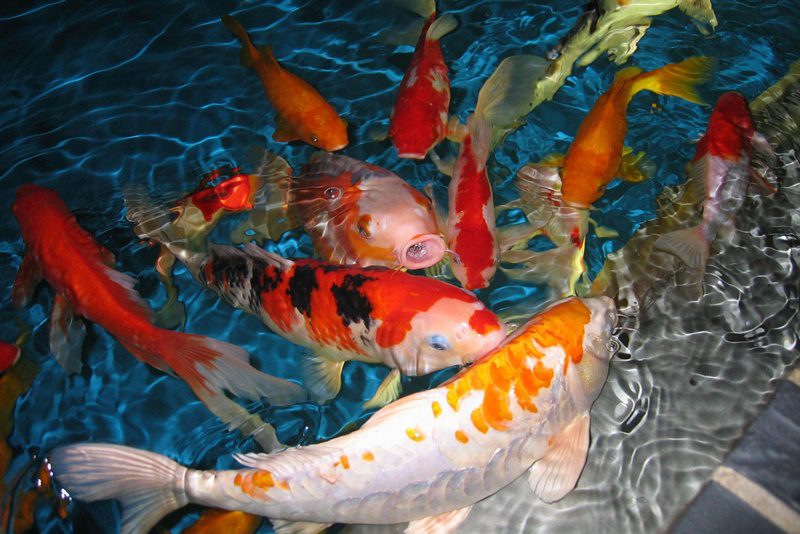 Tour Ha Noi Bali 4 ngay 3 dem. 2jpg 2