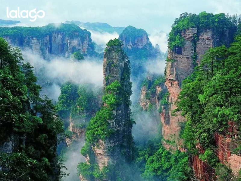 Tour Ha Noi Truong Sa Phuong Hoang Co Tran Mieu Trai Mac Nhung Truong Gia Gioi That Tinh Son 2